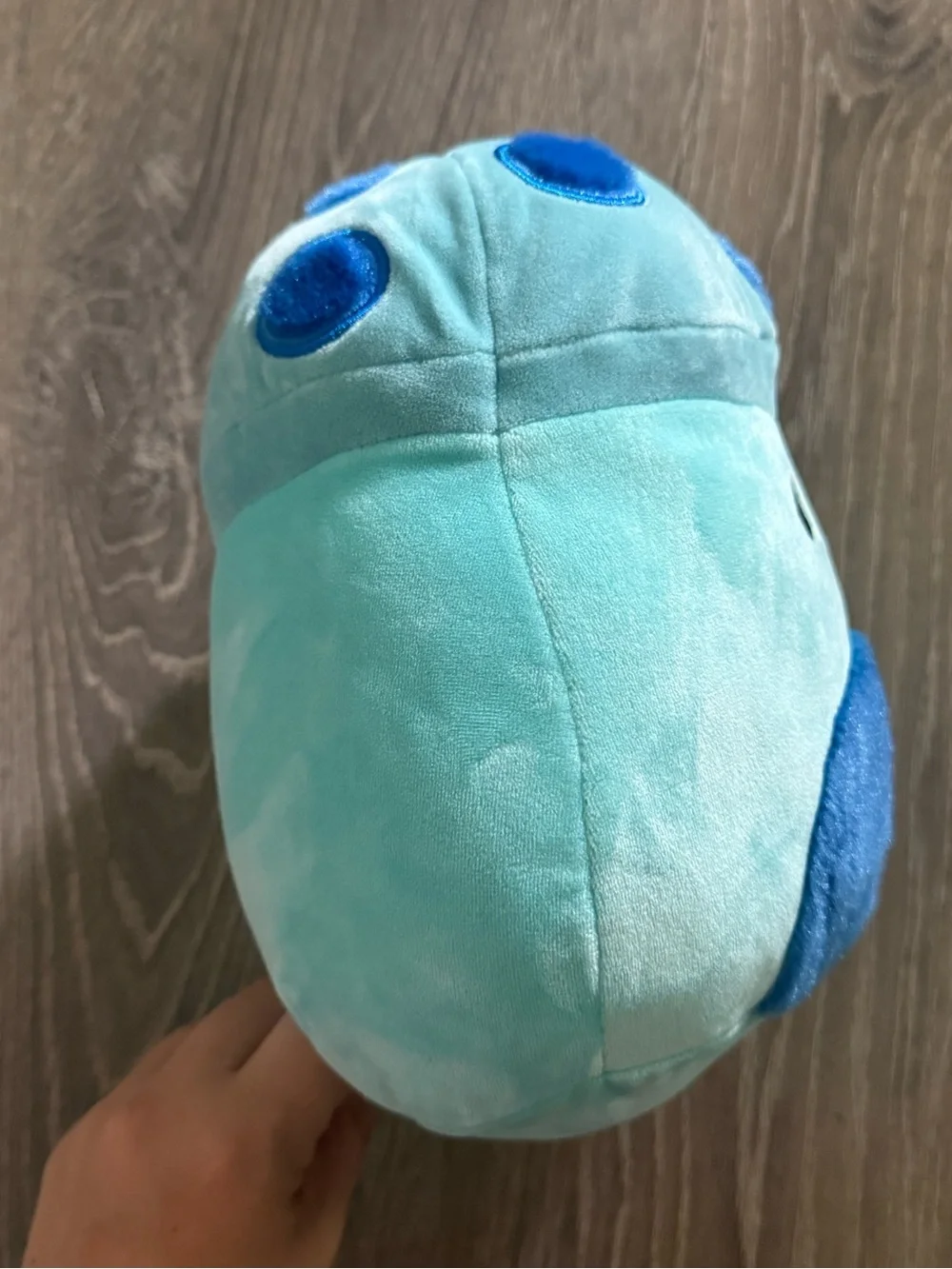 Ankur the Mushroom Squishmallow